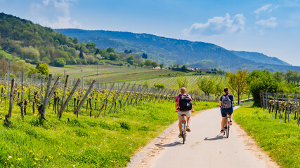 Obraz premium Biking through vineyards on a sunny day near hills and trees in the countryside during springtime