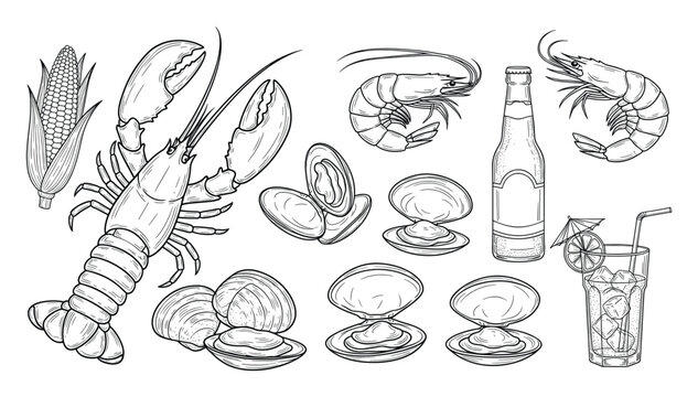 Hand drawn collection of delicious seafood including lobster, shrimp, clams, corn, beer, and summer cocktail for food menus