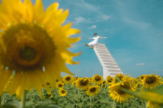 Joyful woman balancing on staircase in sunflower field outdoor bright day scenic view