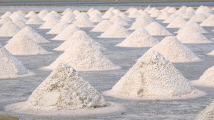 Traditional sea salt piles in a salt farm under the sun, salt evaporation pond landscape in Samut...