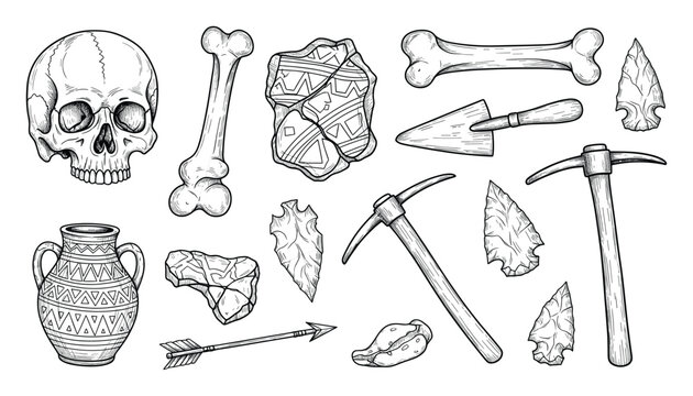 Archaeological artifacts and excavation tools line drawing collection for history and science educational resources