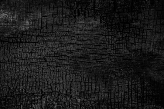 Black charred wood surface shows cracks and textures from heat and flames after fire damage in a burned area