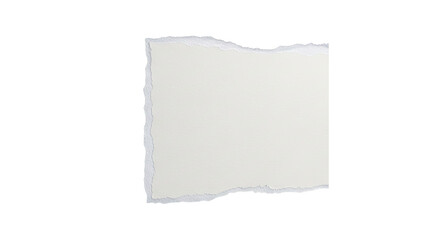 Fototapeta premium Torn Paper Edge with Textured Surface