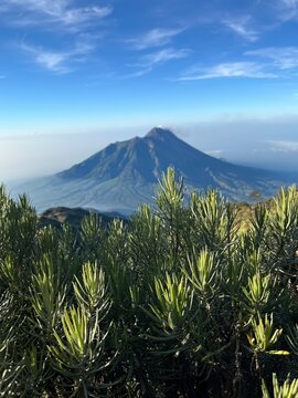 View of merapi from merbabu mount