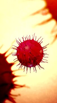  Neisseria gonorrhoeae Bacteria or Germs from STD Animation - Vertical