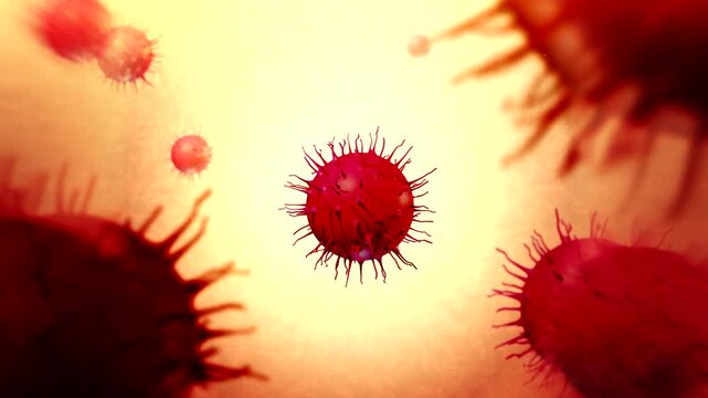 Neisseria gonorrhoeae Bacteria or Germs from STD Animation