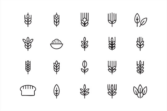 Wheat and grain icons, agriculture, bakery, organic crop symbols for web and app UI design