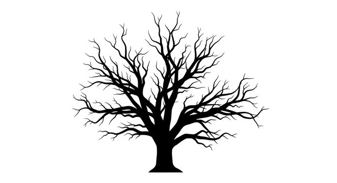 Bare tree silhouette in profile.