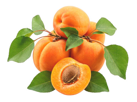 Fresh apricots with leaves isolated on transparent background a vibrant fruit display