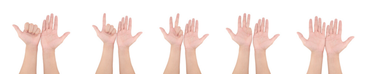 Obraz premium Set of human hands showing counting gestures isolated on white background, fingers representing numbers in sequence. Ideal for education, counting concept, sign language basics, learning materials