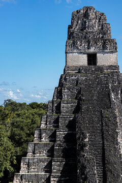 Tikal 3
