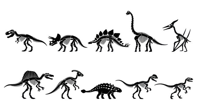 Dinosaur Skeletons Icons Set Vector - Black  White Line Art