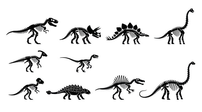 Dinosaur Skeletons Prehistoric Paleontology Vector Silhouette Collection Set