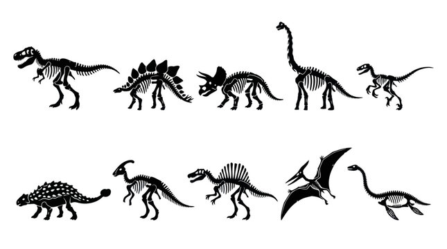 Black and White Dinosaur Skeletons Collection Vector Illustration