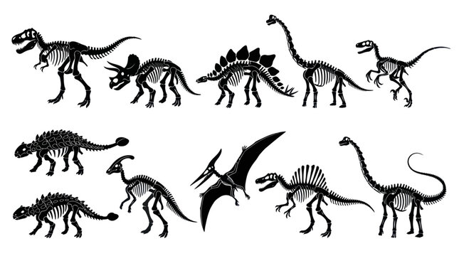 Black and White Dinosaur Skeletons Silhouettes Vector Art