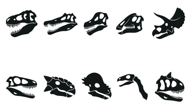 Dinosaur Skulls Glyph Set: Prehistoric Animal Skeletons - Paleontology Vector Icons