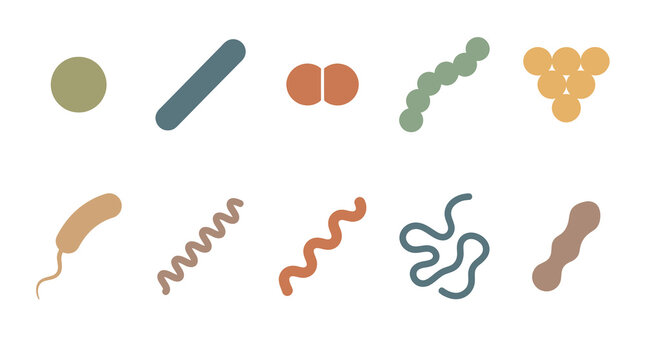 Medical Biology Flat Icons: Diverse Bacterial Shapes and Microorganism Forms