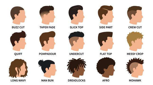 Men's Haircuts and Hairstyles Flat Vector Illustration Set for Grooming  Fashion Guide