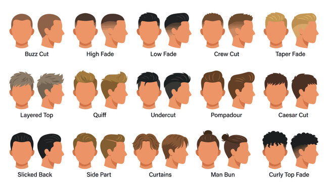 Men's Hairstyles Chart: Buzz Cut, Fade, Pompadour, Man Bun, Curly Top