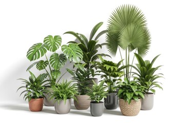 Fototapeta premium Collection of diverse potted houseplants on white background for home decor