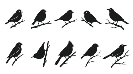 Obraz premium Bird Silhouettes on Branches Vector Art