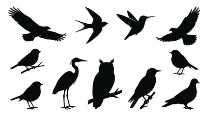 Fototapeta premium Black silhouette vector illustrations of diverse birds in flight and perched
