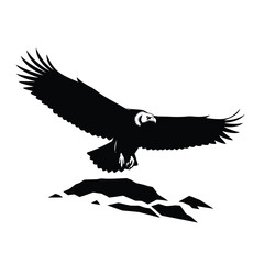 Fototapeta premium Bird of prey soaring over mountainous landscape
