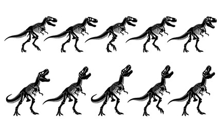 Naklejka premium Black and White Dinosaur Skeletons on White Background