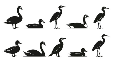 Fototapeta premium Black and White Silhouette of Various Waterfowl and Birds