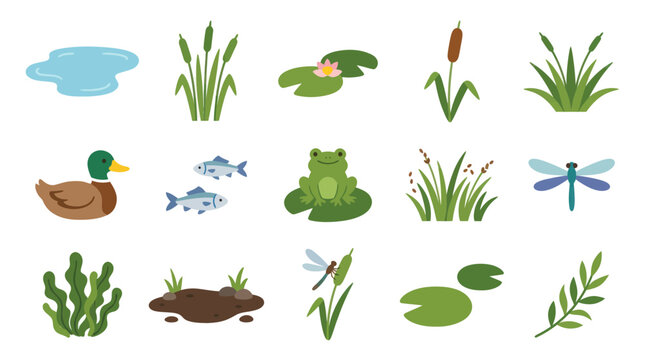 Flat Vector Pond Life Icons: Duck, Frog, Fish, Dragonfly, Plants, Water Lily