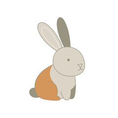 Obraz premium Cute Orange and White Rabbit Sitting.