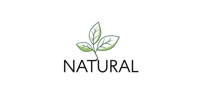 Minimalist logo design featuring three green leaves with a thin stem and the word NATURAL in clean black capital letters below.