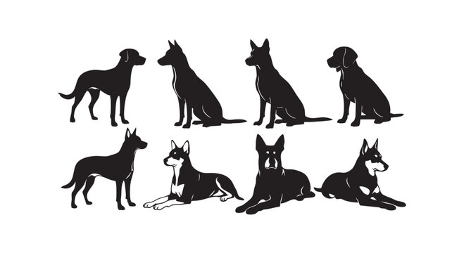 Variety of dog poses sitting standing resting in calm relaxed attentive positions loyal companions vector illustration.