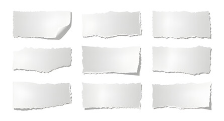 Fototapeta premium ripped, paper, white, torn, strip, piece, edge, texture, shadow, realistic, scrap, collage, overlay, design, element, background, minimal