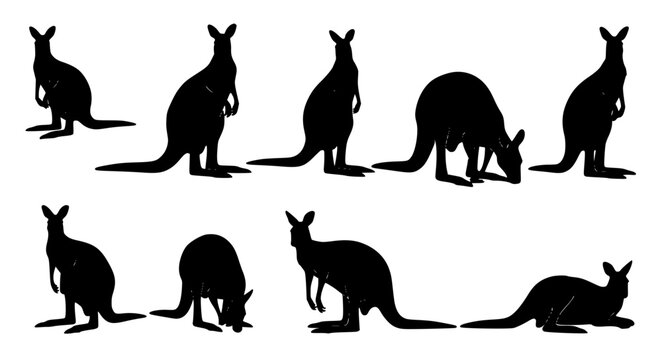 Kangaroo Silhouette Vertical Set Macropus Wildlife Animal Vector Illustration