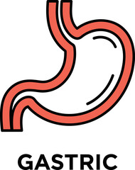Fototapeta premium Clean graphic line art illustration depicting the human stomach, an essential digestive organ, symbolizing health, wellness, and medical anatomy in a minimalist style