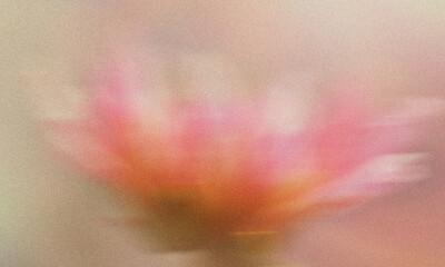 Abstract pink flower blur background with soft focus dreamy pastel floral aesthetic texture © abuzay