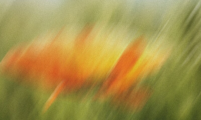 Abstract orange flower motion blur background with green nature soft dynamic vibrant texture © abuzay