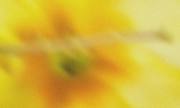 Abstract yellow flower blur background with soft focus warm bright floral texture backdrop