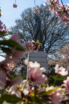 View of the Armistead Monument framed by blooming pink cherry blossoms at Fort McHenry National Monument and Historic Shrine Baltimore, Maryland, United States.