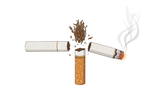 Cigarette Breaking Into Pieces Smoking.