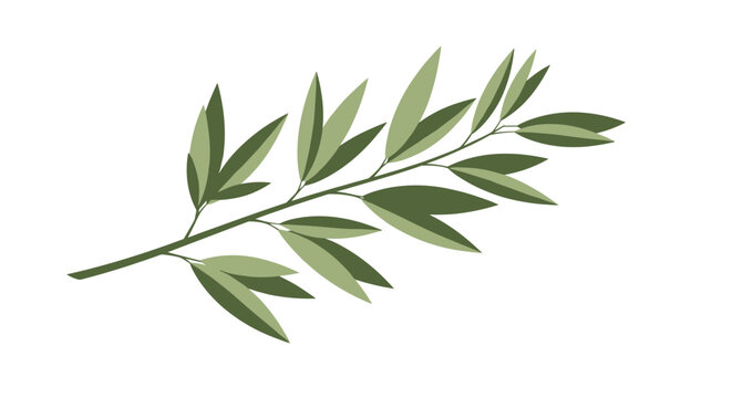 Branch with long narrow green leaves in a flat vector style for botanical illustrations and nature inspired graphic patterns.