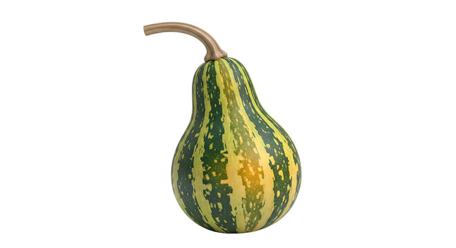 Striped Gourd with Curved Stem