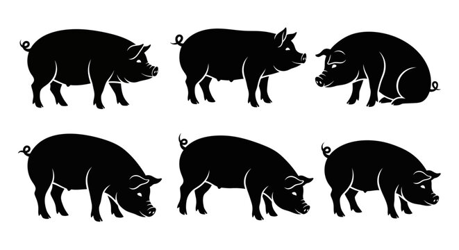 Set of Black Silhouette Pigs in Various Poses