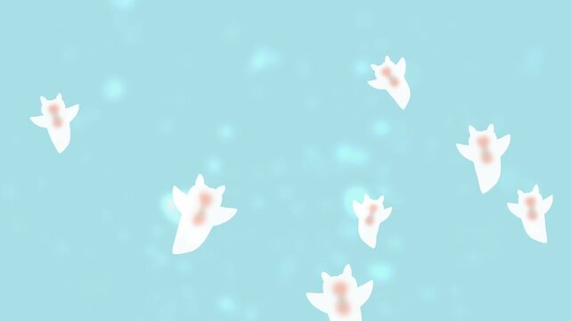 Clione Swimming  Animation - Underwater Sea Slug Motion Background