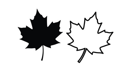 Fototapeta premium Two maple leaves one filled and one outlined creating a contrast silhouette
