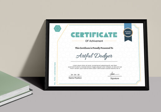 Professional Award Certificate Template