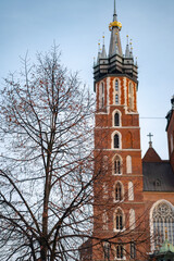 Obraz premium A gothic brick church tower stands next to a bare tree against a blue sky. Historical European architecture and cultural heritage concept.