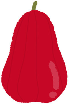 Water Apple Hand Illustration in Crayon Style