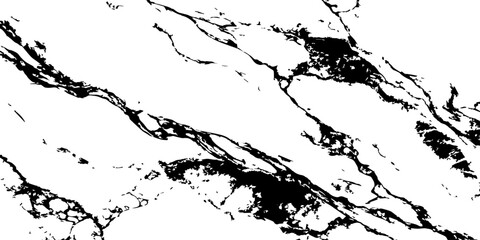 Fototapeta premium Luxury white marble texture with bold black veins natural stone abstract background high resolution premium.